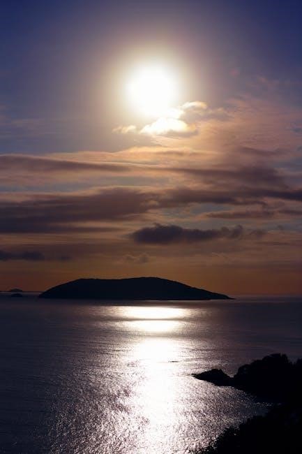 wide sargasso sea pdf