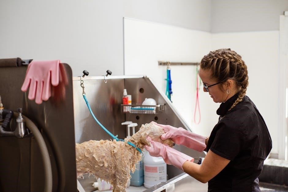 cleaning services award pay guide
