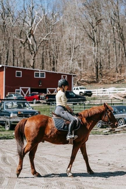 horse riding helmet size guide